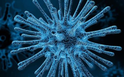 CORONAVIRUS: CHI CI DIFENDE VERAMENTE?